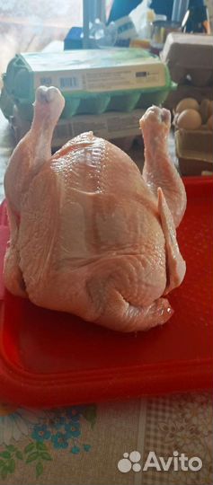 Мясо домашнего бройлера