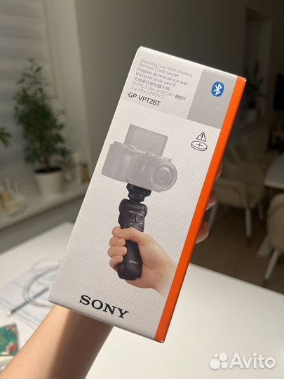 Sony ZV 1