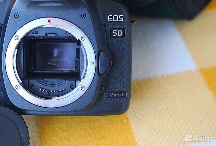 Canon EOS 5D Mark II Body