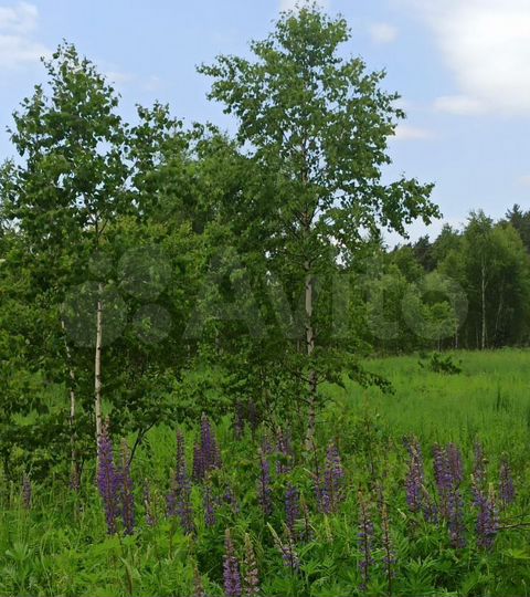 Участок 6,45 га (СНТ, ДНП)
