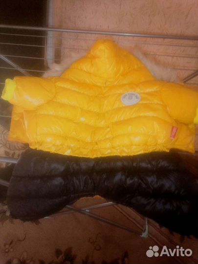 Зимняя одежда для собак