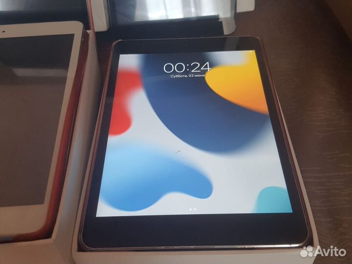 iPad mini 2.4