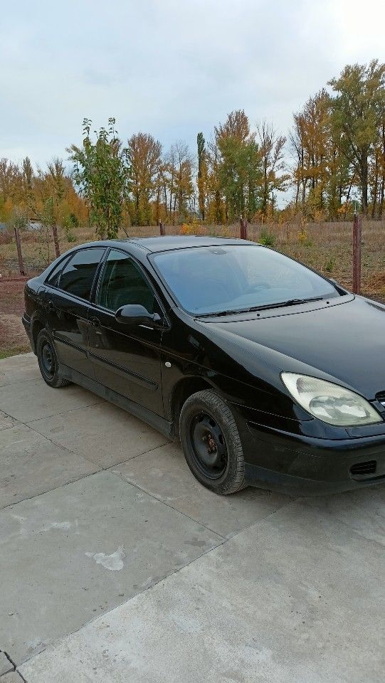 Citroen C5: фото владельца