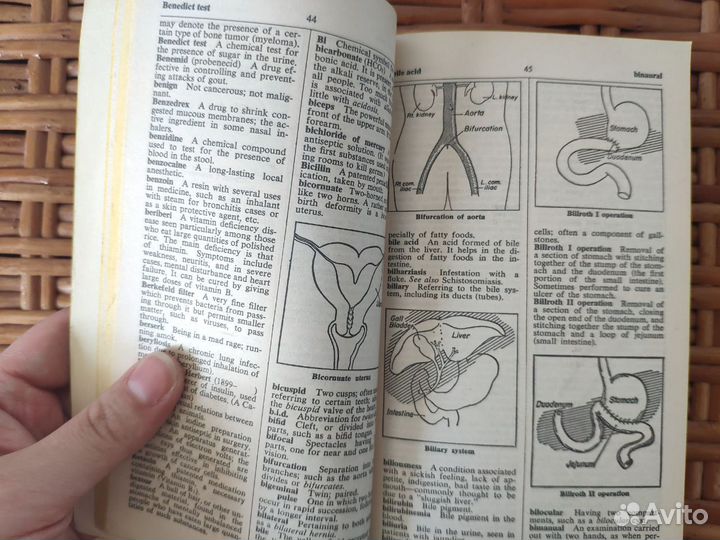 Медицинский словарь и справочник на английском