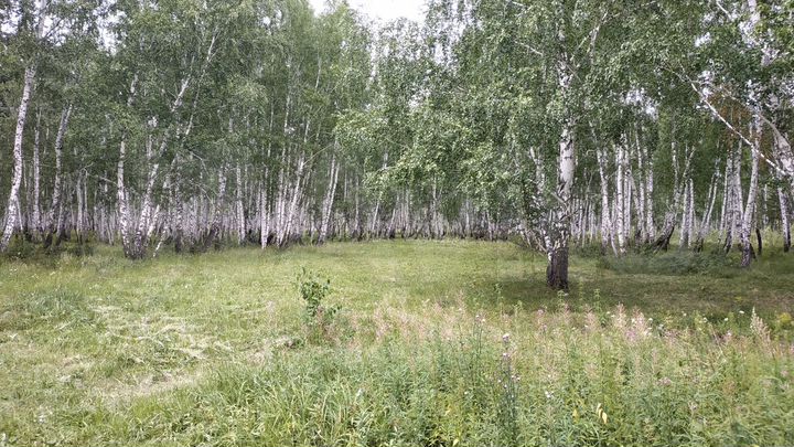 Участок 30 сот. (ИЖС)