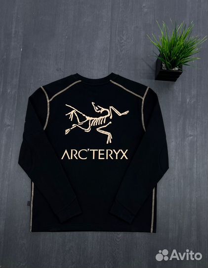 Свитшот весенний Arcteryx