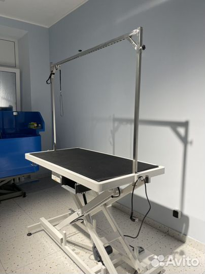 Аренда груминг зоны