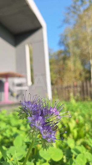 Коттедж 61 м² на участке 6 сот.