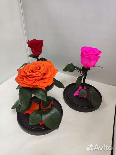Роза в колбе оптом и в розницу