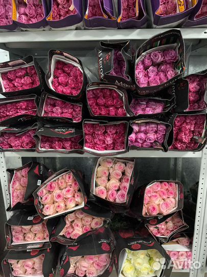 Розы без посредников. Букеты из роз 15 - 101 роза