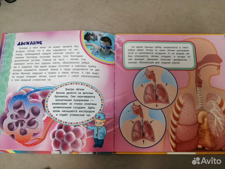 Энциклопедии для детей