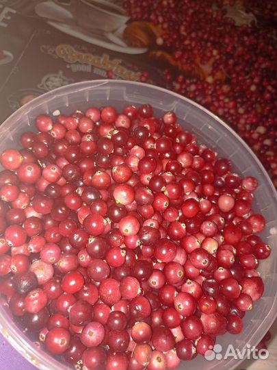 Клюква свежая