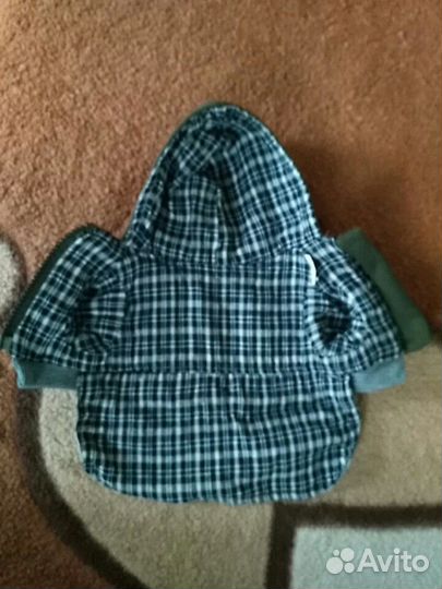 Одежда для собак