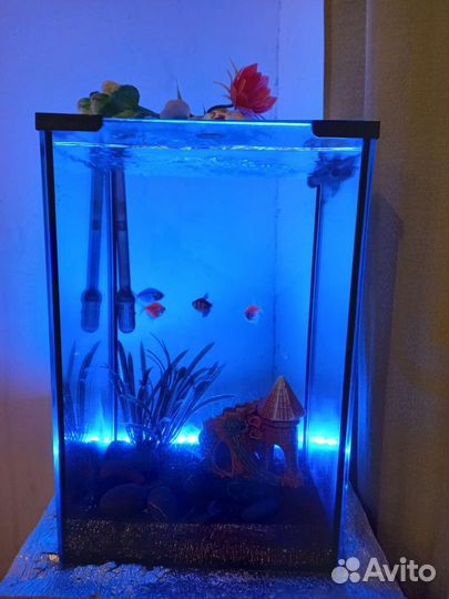 Аквариум с рыбками и аксессуарами