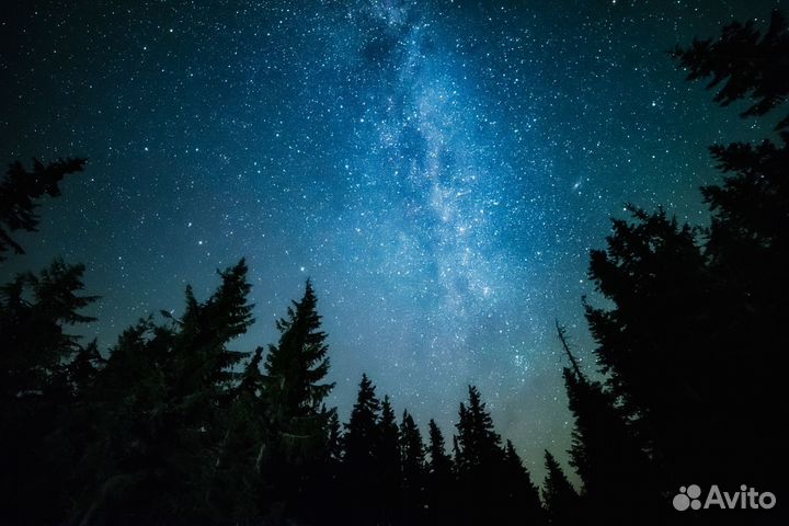 Ткань армани шелк с печатью отправка в Москву