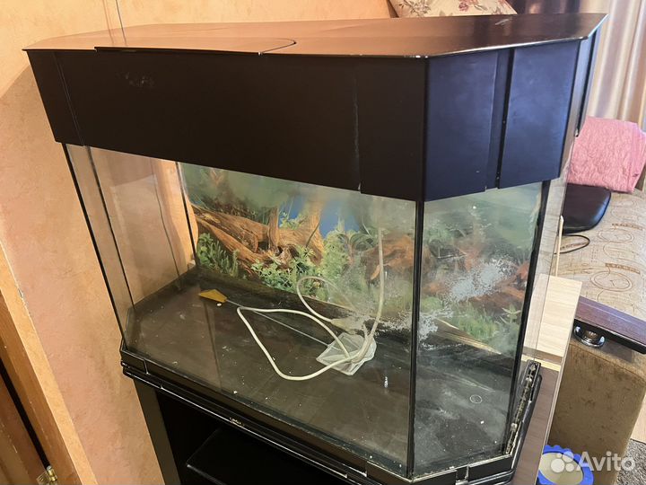 Аквариум с тумбой