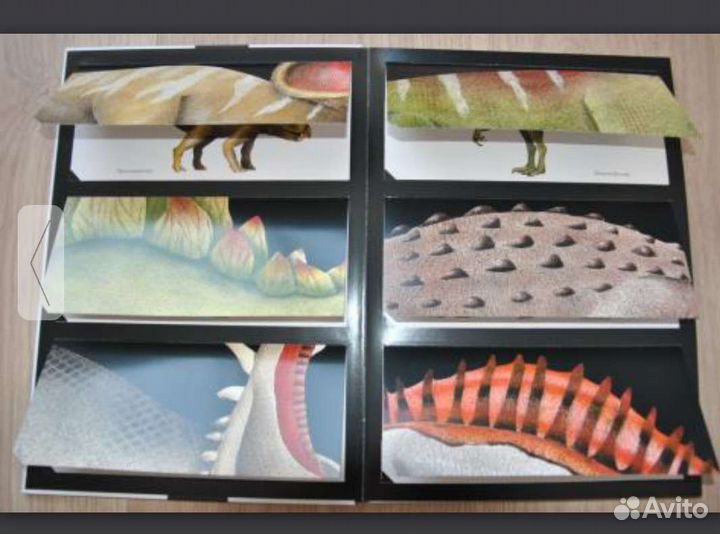 Детские книги Дивнозавры. Пито. Жерве