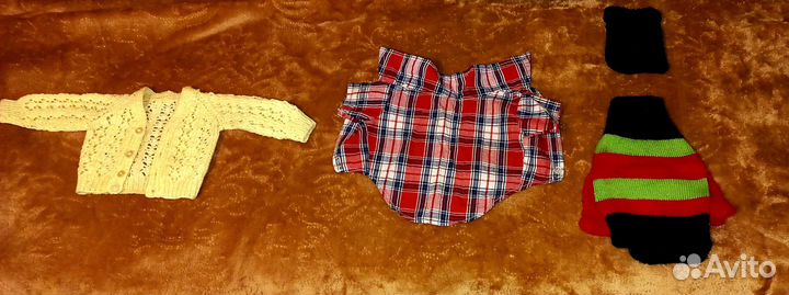 Вещи на собак мелких пород