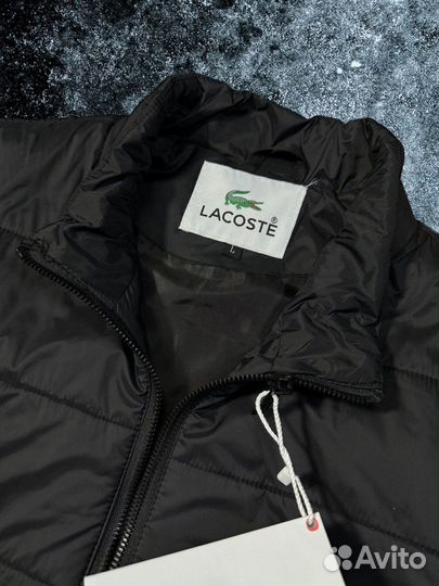 Куртка весенняя мужская Lacoste 46-54