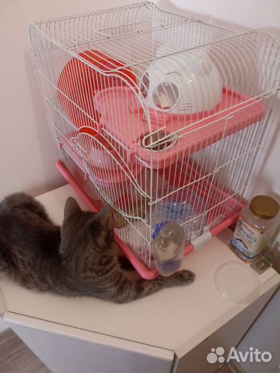 Клетка для хомяков, со всеми комплектующими