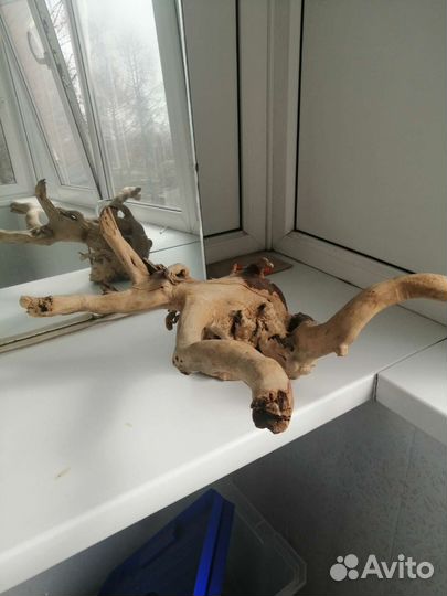 Коряги для террариума