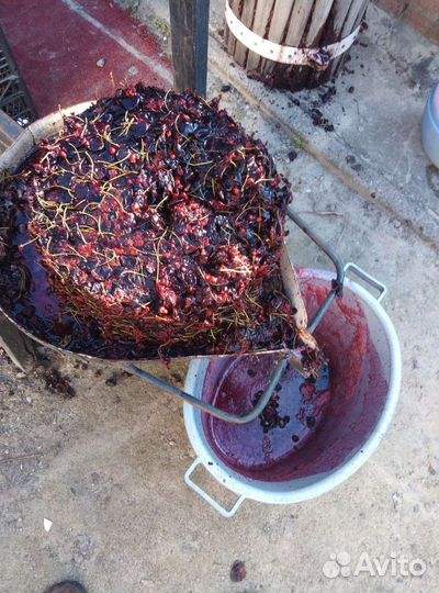 Пресс, соковыжималка, давилка для винограда