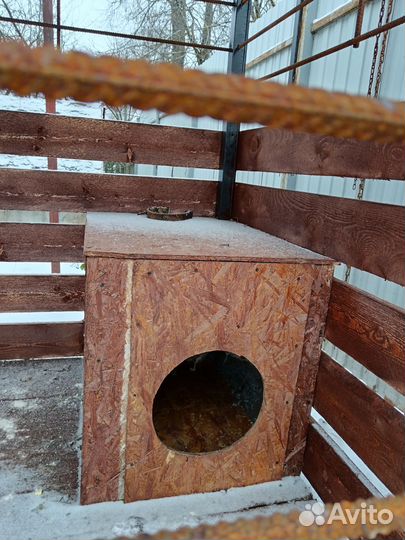 Вольер для собак уличный