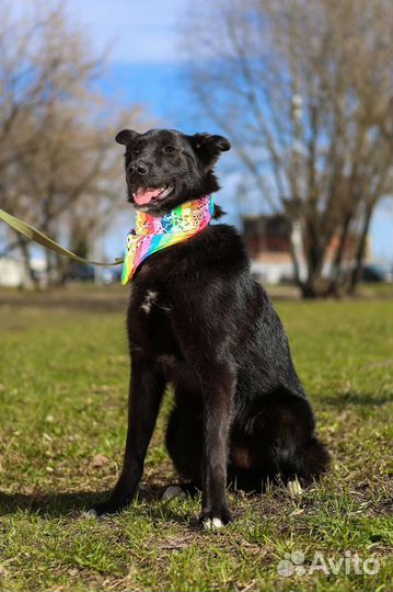 Милая Берта