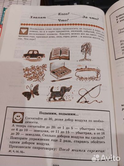 Ладыженская. Развитие речи