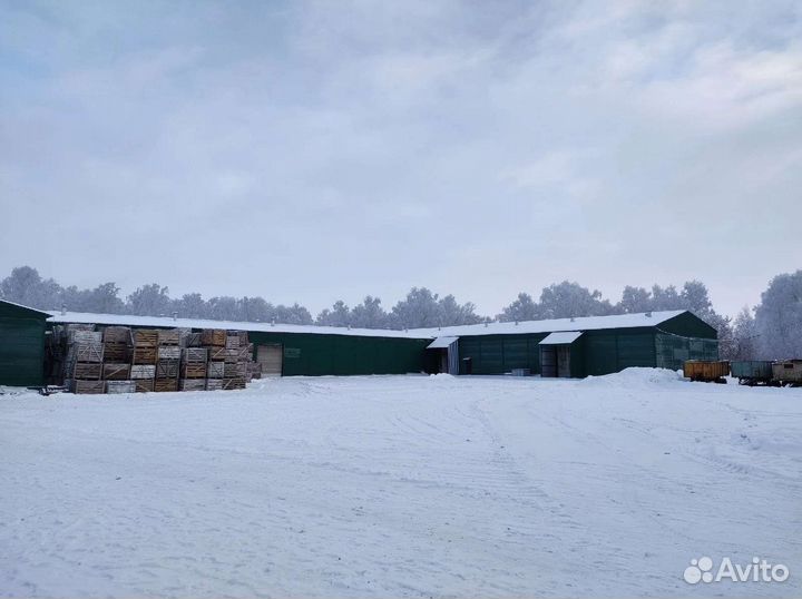 Фермерское картофелеводческое хозяйство