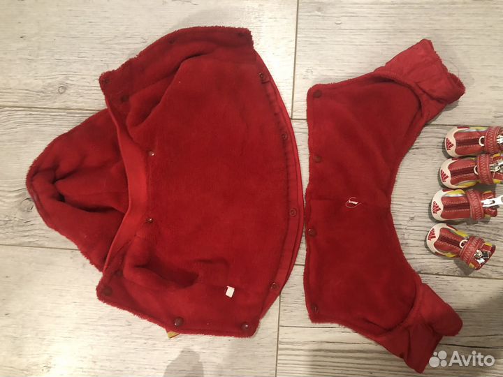 Одежда для маленьких собак