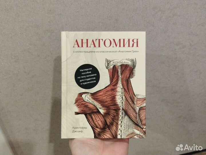 Книга Анатомия с иллюстрациями