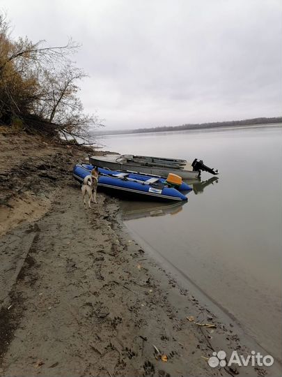 Лодка пвх