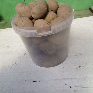 Продам картофель