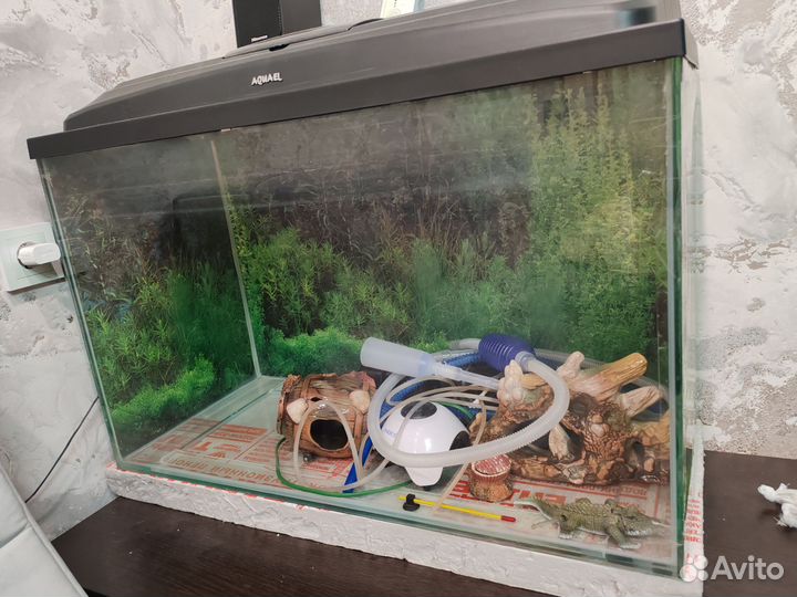 Аквариум 140л