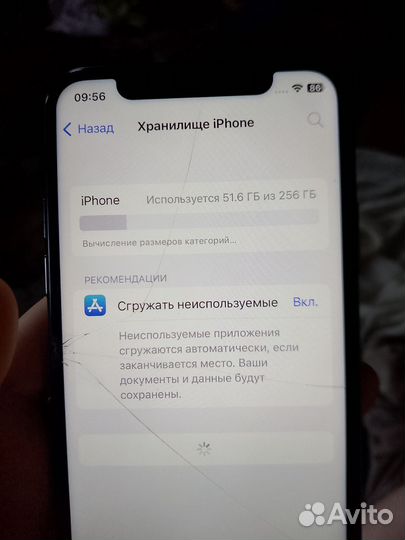 iPhone X, 256 ГБ