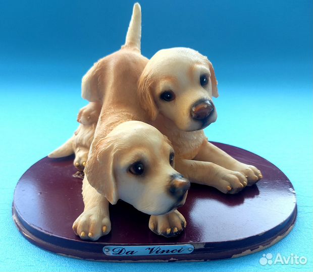 Лабрадорчики DA vinci