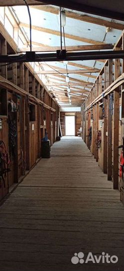 Постой для лошадей