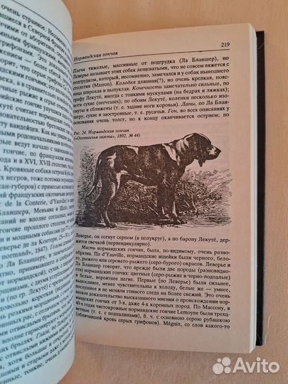 3 книги Сабанеев Охотничьи собаки Черкасов Записки