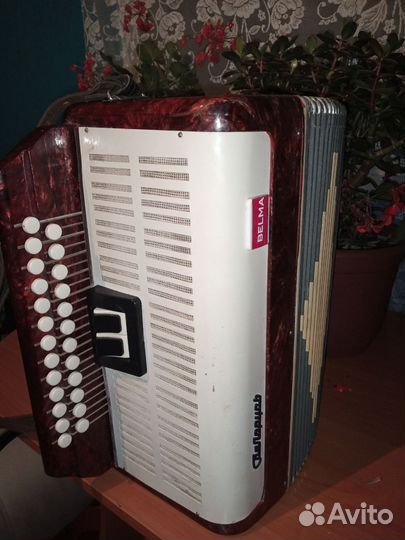 Гармонь беларусь