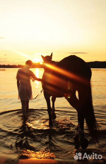 Фотосессия