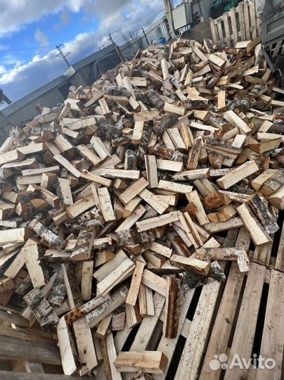 Дрова береза