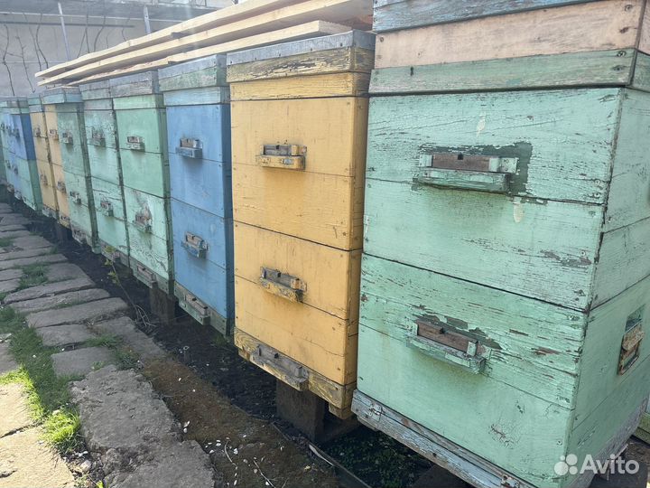 Ульи для пчел