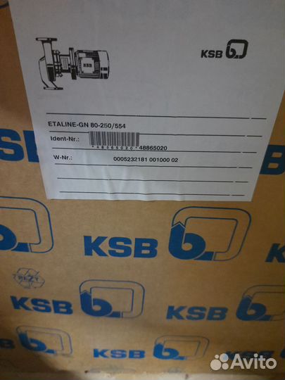 Насос центробежный Etaline 80-250/555