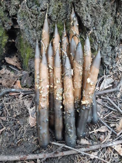 Свечи восковые ручной работы для защиты дома