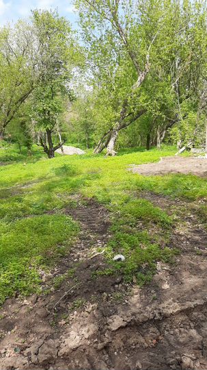 Участок 8 сот. (ИЖС)