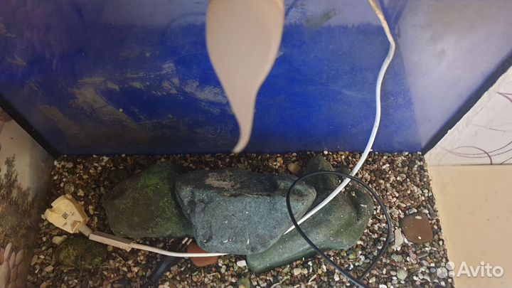 Аквариум 40л