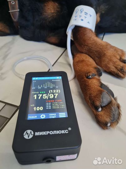 Ветеринарный врач на дом (+ узи, тонометрия)