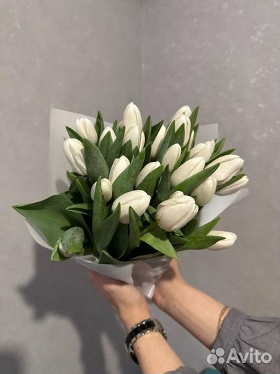 Тюльпаны праздник