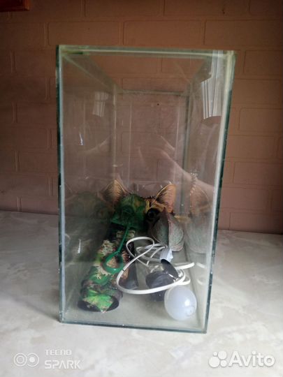 Аквариумные рыбки